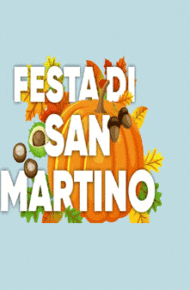 FESTA DI SAN MARTINO